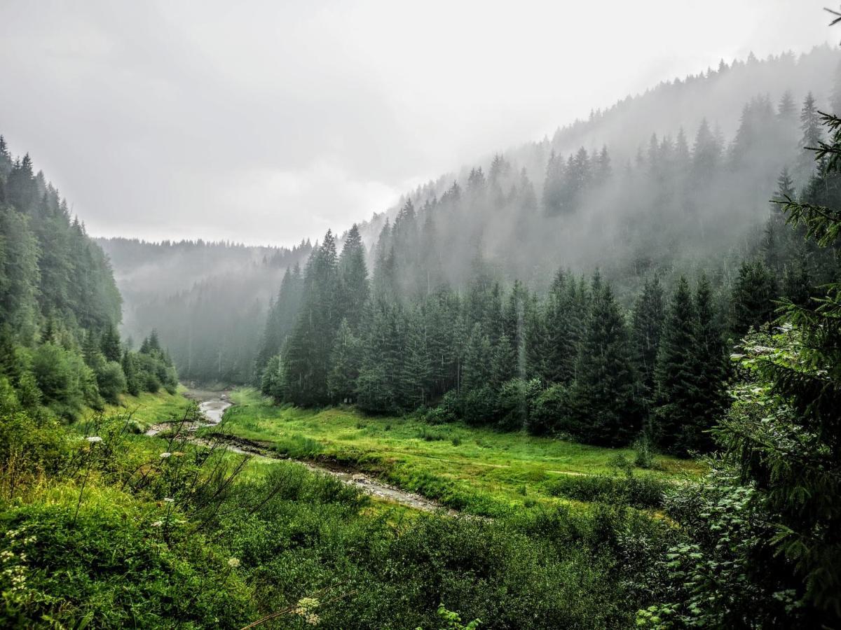 Zlatarske Brvnare Zlatar Chalets Nova Varoš Exterior foto