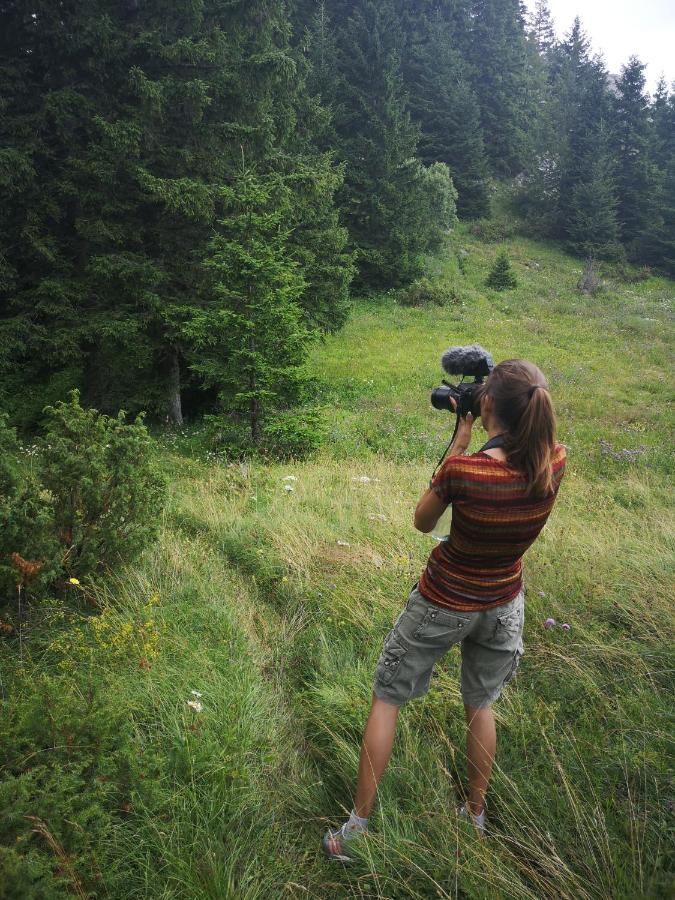Zlatarske Brvnare Zlatar Chalets Nova Varoš Exterior foto