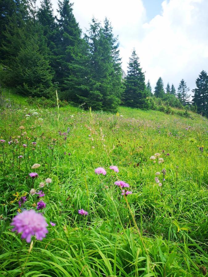 Zlatarske Brvnare Zlatar Chalets Nova Varoš Exterior foto